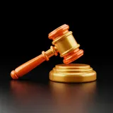 跟進法庭程序與判決